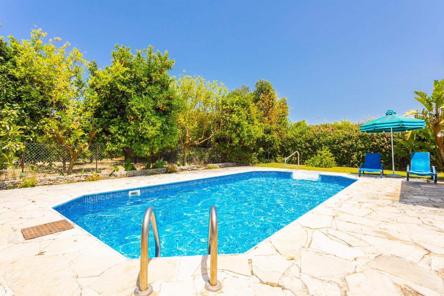 Sun Beach Villa Polis Bagian luar foto